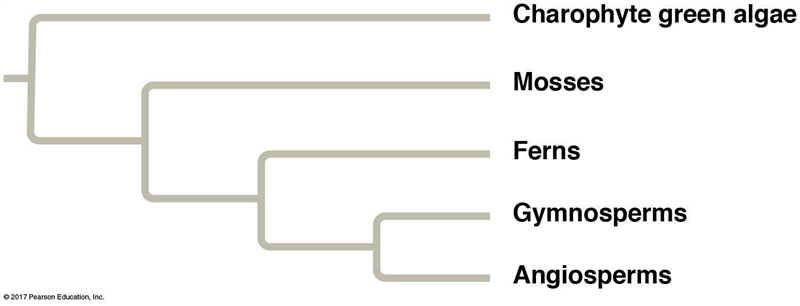 Use the diagram to answer the question. Based on this diagram, which of the following-example-1