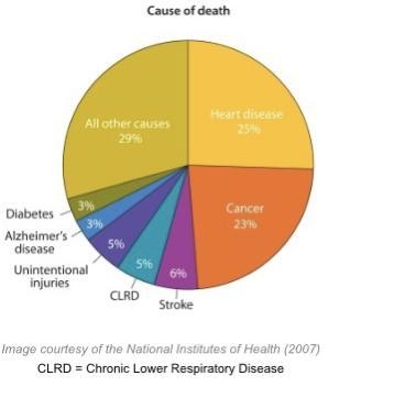 The following graph shows the leading causes of death among Americans in 2007. Image-example-1