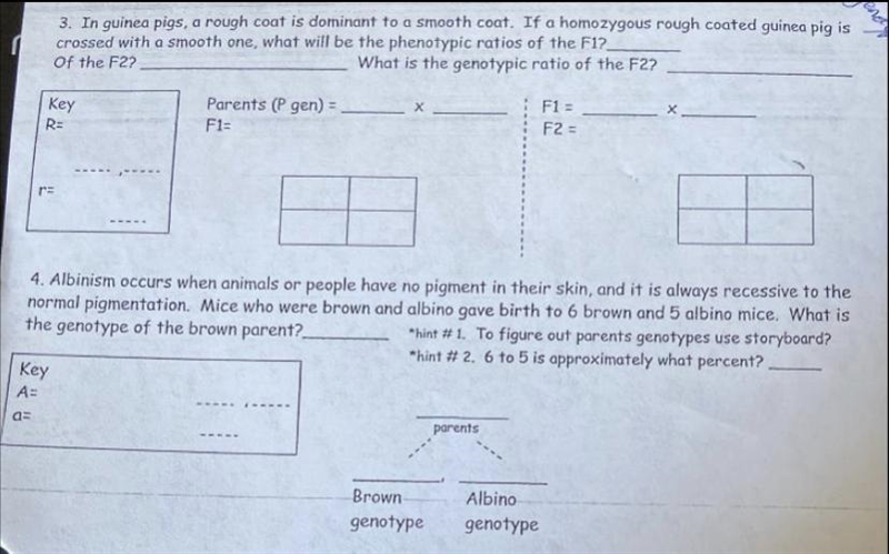 I’m having trouble understanding this can someone plz explain?-example-1