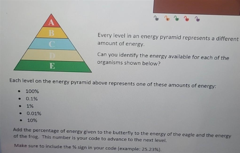 • 100% 0.1% 1% ● ● Each level on the energy pyramid above represents one of these-example-1