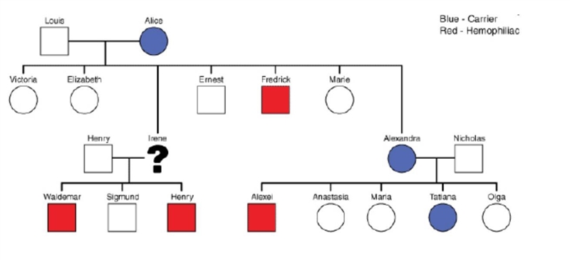 What is the best evidence to prove that Irene was heterozygous for hemophilia? -Elizabeth-example-1