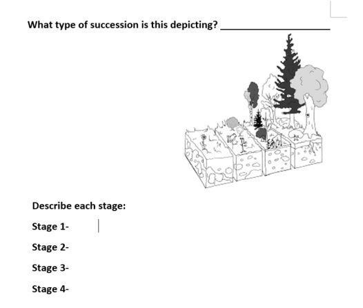 What type of succession is this depicting?-example-1