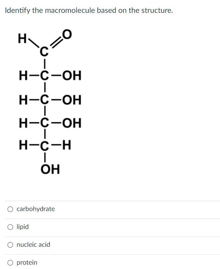 Identify the macromolecule based on the structure.-example-1