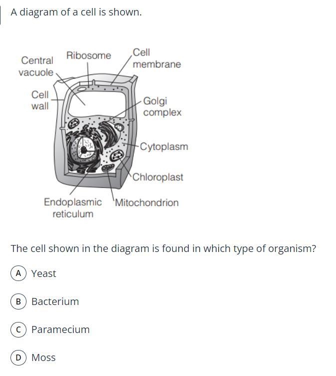 Can someone please help me with these?-example-2