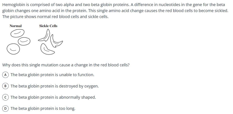 Can someone please help me with these?-example-3