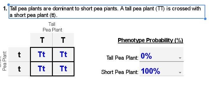 Please answer the question which I attached to this file-example-1