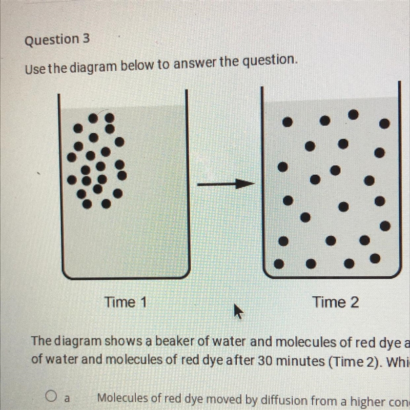 The diagram shows a beaker of water and molecules of red dye at the beginning of an-example-1