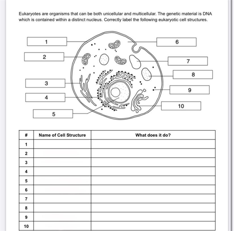 Please help! I have no idea how to do this-example-1