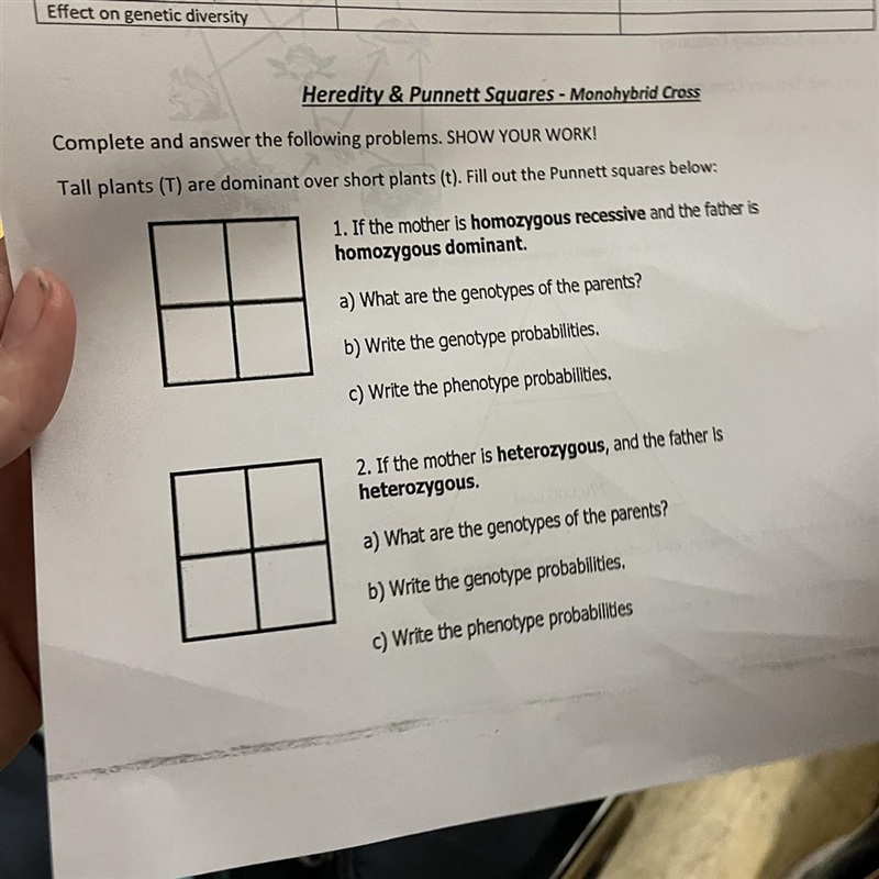 Please help (punnet square with questions)-example-1