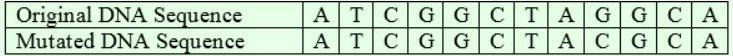 What type of mutation has occurred in the following example? A.) deletion mutation-example-1