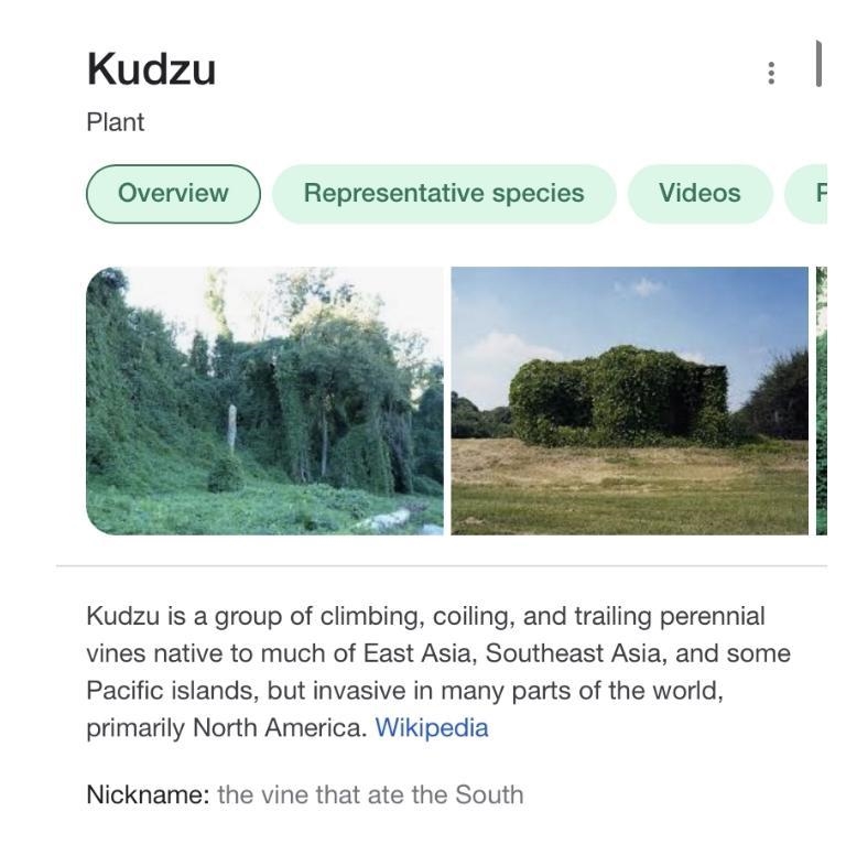 What does the invasive species “Kudzu” eat? Explain in a short 2-3 sentences-example-1