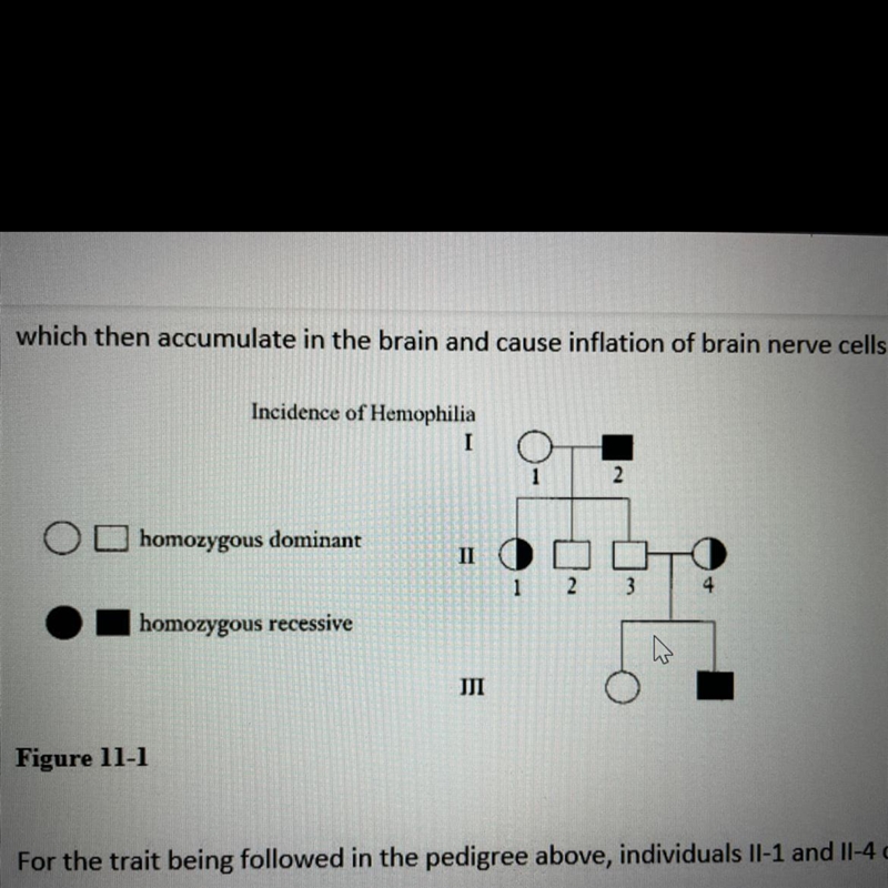 3. What is the relationship between individual l-1 and individual III-2 in the above-example-1