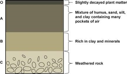 Can I get a retake on Minerals Assignment, Rocks and the Rock Cycle Assignment and-example-1