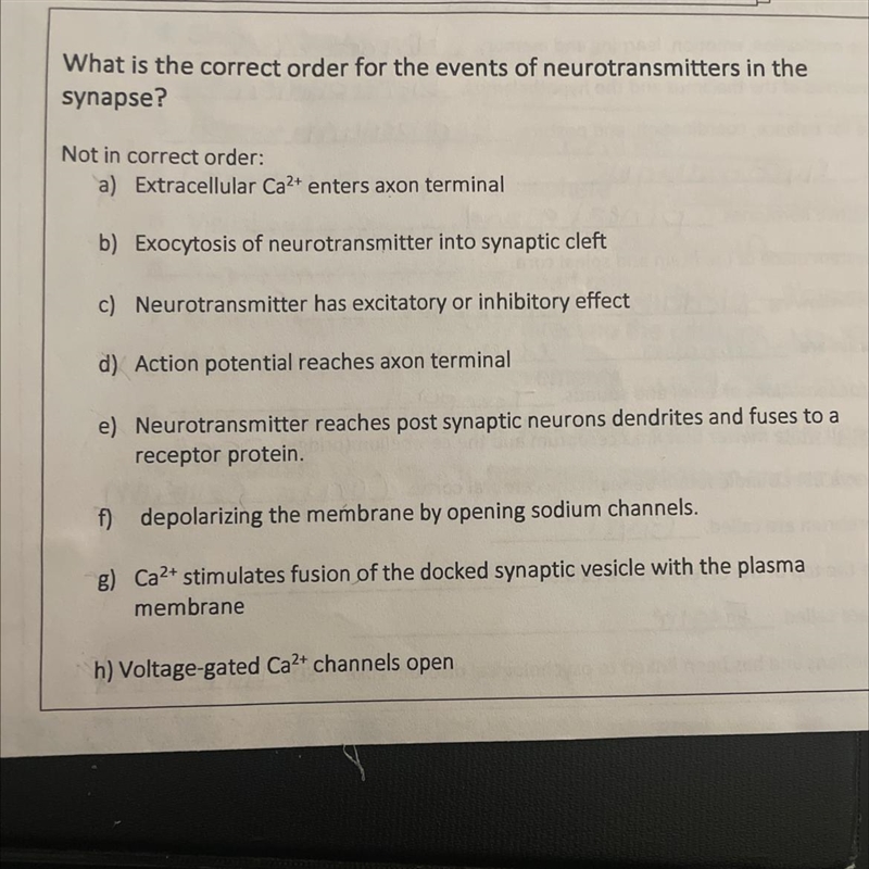 What is the correct order for the events of neurotransmitters in the synapse-example-1