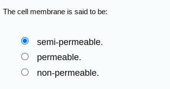 The cell membrane is said to be:-example-1