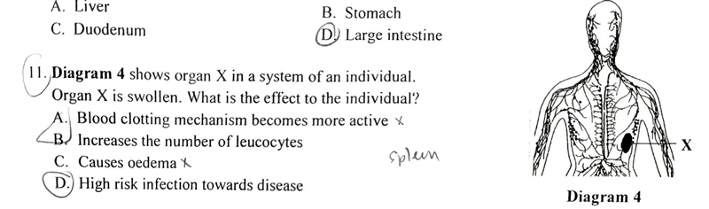 Which one is the best ans​-example-1