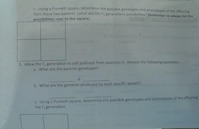 I need biology help ASAP !!! 30 points !!-example-1