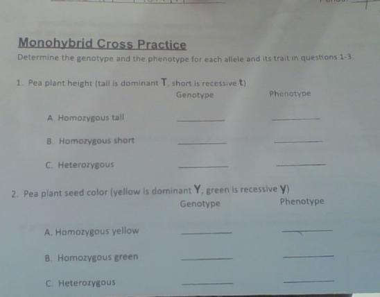 I need biology help ASAP !!! 30 points !!-example-4