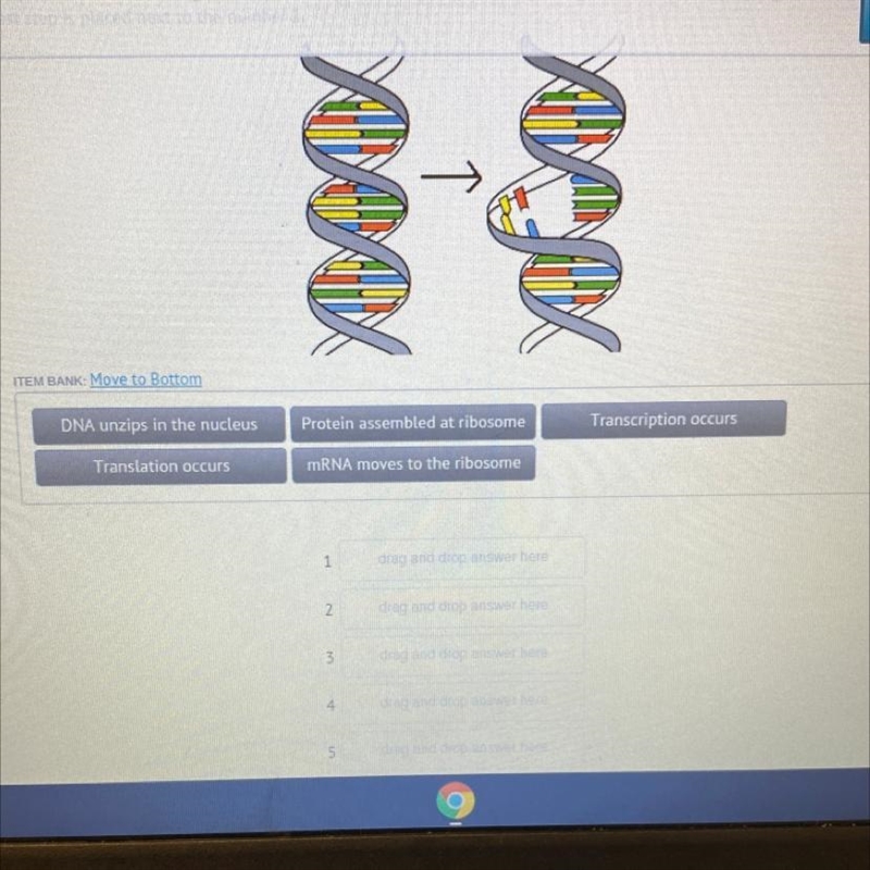 What’s the answer to this?-example-1