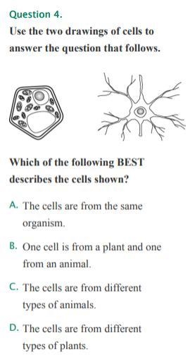 Use the two drawings of cells to answer the question that follows. Which of the following-example-1