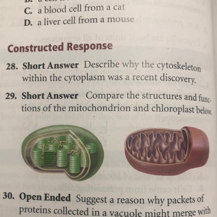 3. Short Answer Compare the structures and functions of the mitochondrion and chloroplast-example-1