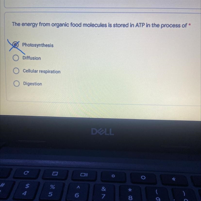 The energy from organic food molecules is stored in ATP in the process of?-example-1