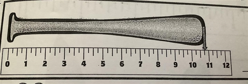 Please write the correct answer and measure the bat please-example-1