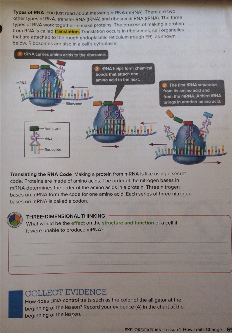 PLSSSS HELP ME ASP!!!! THREE-DIMENSIONAL THINKING What would be the effect on the-example-1