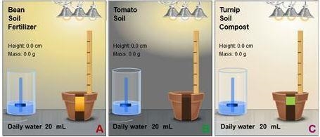 A student wants to determine the effect of soil type on plant growth. He set up 3 pots-example-1