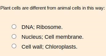 Plant cells are different from animal cells in this way:-example-1