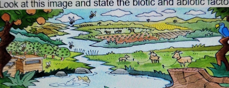 1. Look at this image and state the biotic and abiotic factors:​-example-1