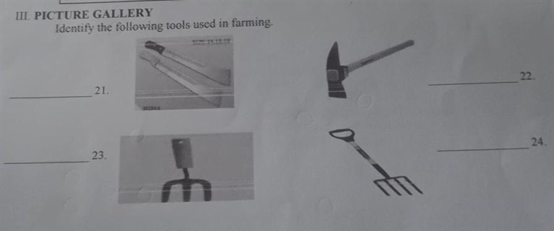 III. PICTURE GALLERY Identify the following tools used in farming. 21. 22. 23. 24.​-example-1