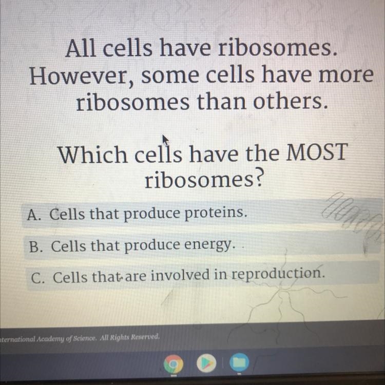 All cells have ribosomes. However, some cells have more ribosomes than others. the-example-1