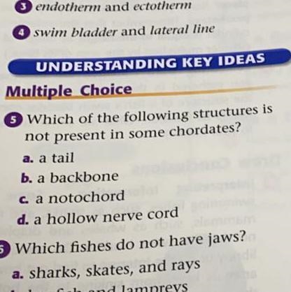 Which of the following structures is not present in some chordates? A a tail B a backbone-example-1