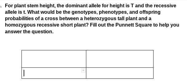 Please help its alr a day late!!! (50 POINTS)-example-1