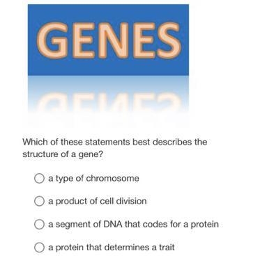 Which of these statements best describes the structure of a gene?-example-1