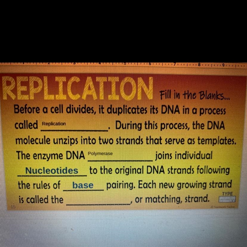 Fill in the blanks DNA REPLICATION-example-1