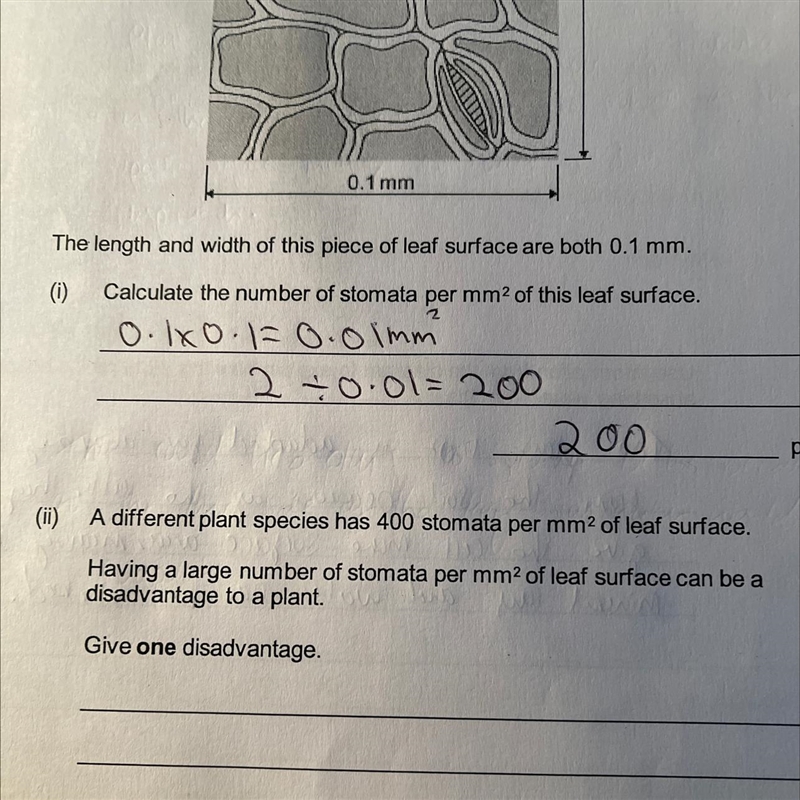 Please help with the bottom question! :)-example-1