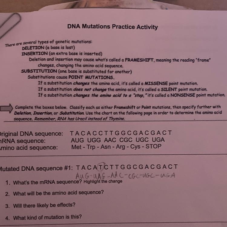 2. What will be the amino acid sequence? 3. Will there likely be effects? 4. What-example-1