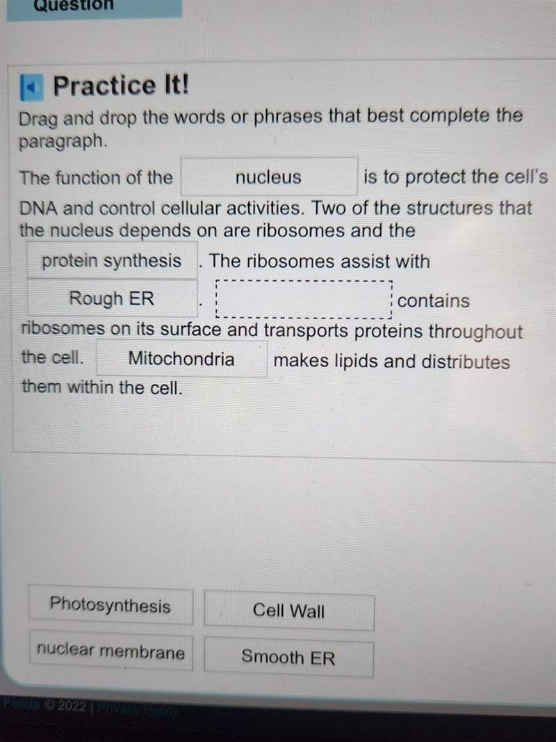 Help me with this plant and animal cell assignment​-example-1