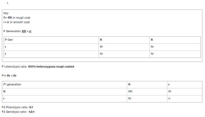 I’m having trouble understanding this can someone plz explain?-example-1