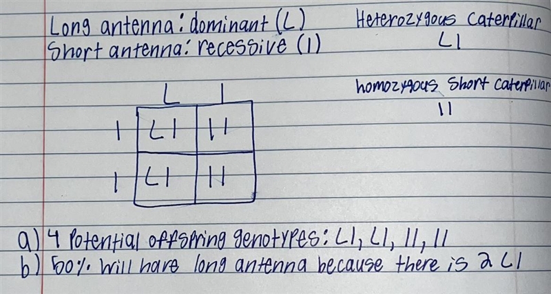 Please help me with a and b-example-1