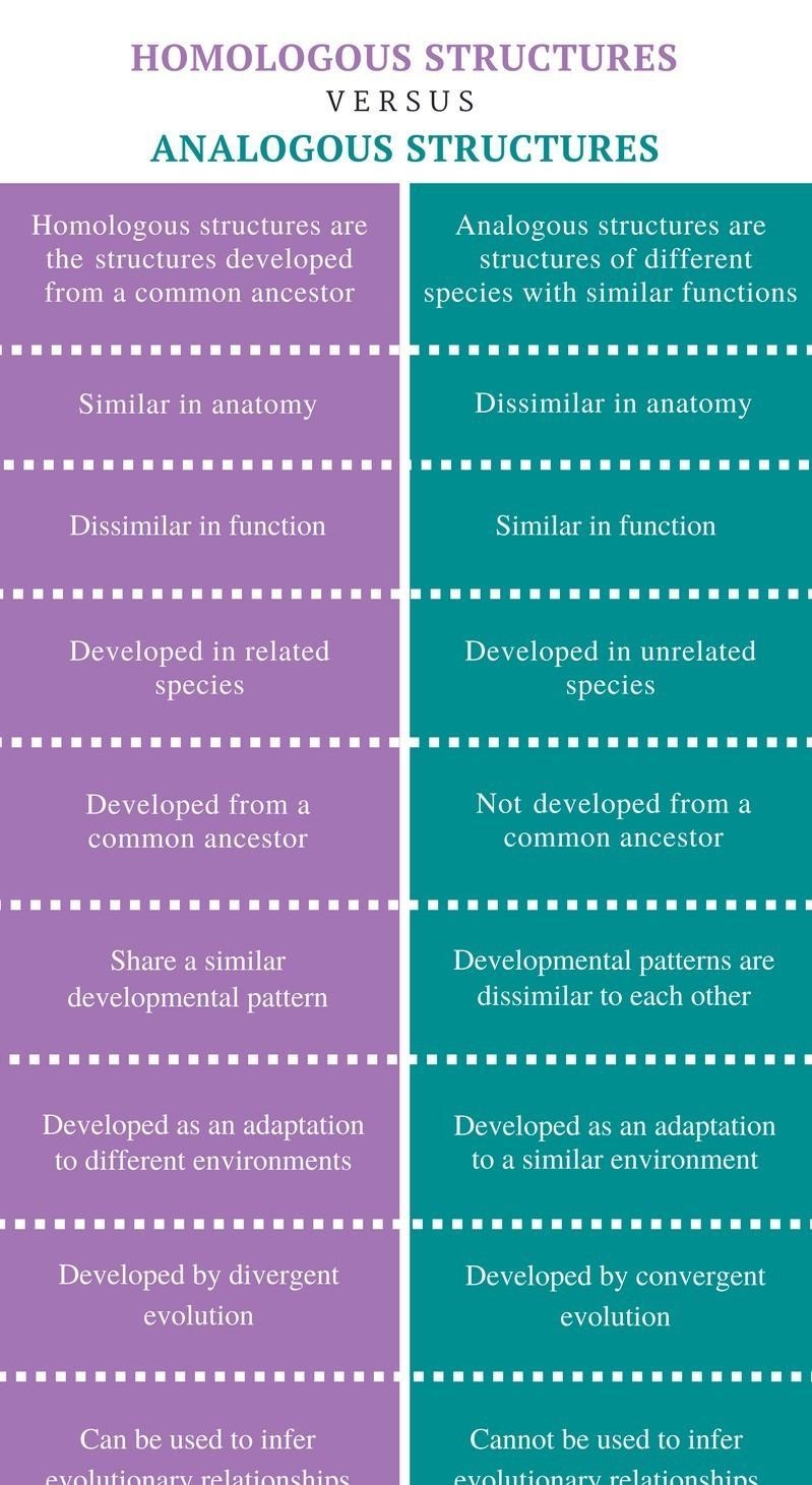 How are homologous and analogous structures different.-example-1