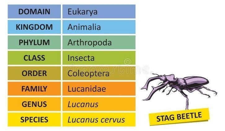 If species is the most specific taxon shown in the diagram what is the scientific-example-1