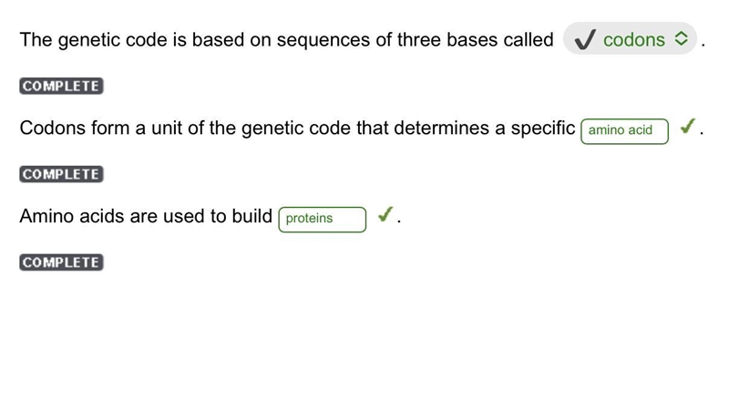 The genetic code is based on sequences of three bases called-example-1