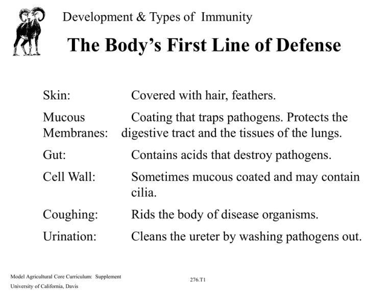 Which is NOT considered FIRST line of defense? (1 Point) White Blood Cells Mucous-example-1