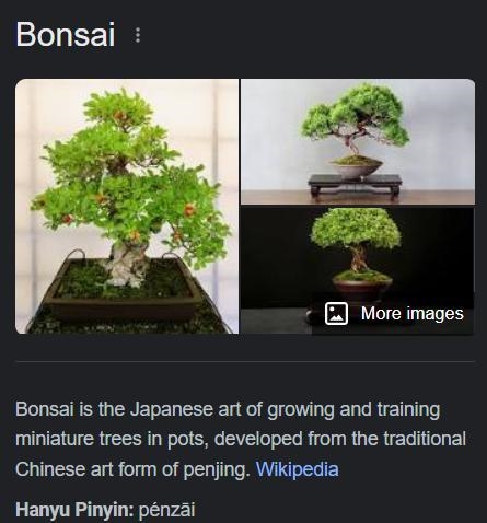 What does bonsai means?​-example-1