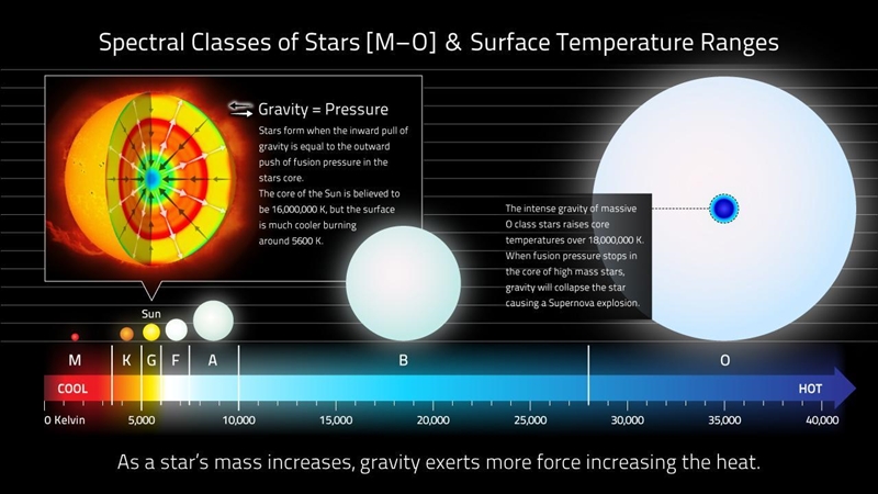 PLEASE HELPP (NOT SURE IF BIOLOGY) If a star has a surface temperature of 5,500 kelvin-example-2