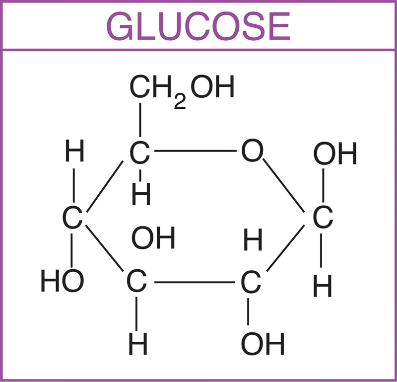 Which is a carbohydrate monomer?-example-1