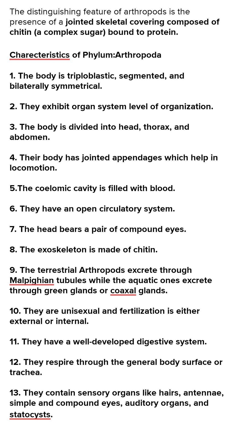 What makes phylum arthropoda different from other phylum of kingdom Animalia​-example-1